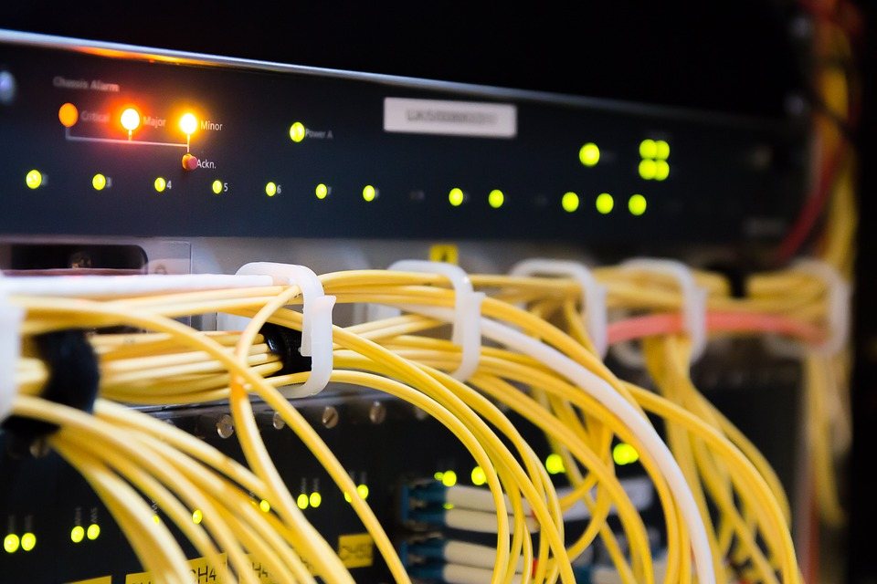 Network cables plugged into a switch