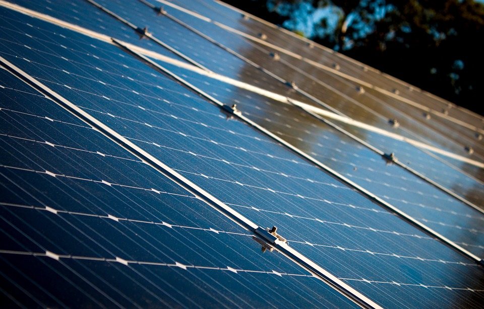 Rows of solar panels